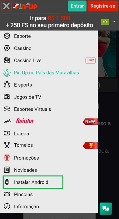 Pin Up Bet - aposte em qualquer esporte e ganhe